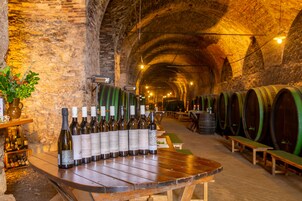 A wine cellar with wooden barrels and bottles of wine on display.