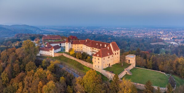 A large, historic building complex with multiple structures, surrounded by a moat and dense forest. - Schloss Seggau (Leibnitz)