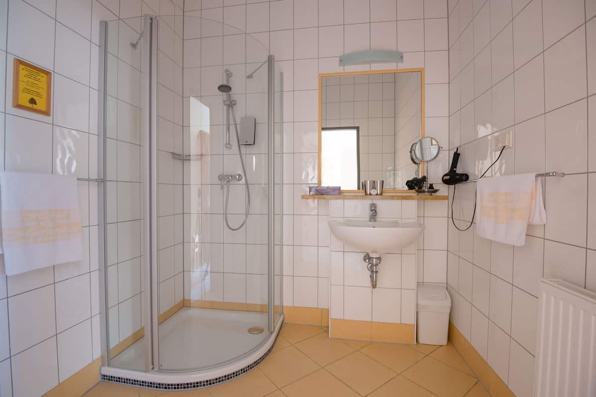 shower, free toiletries, hair dryer, towels