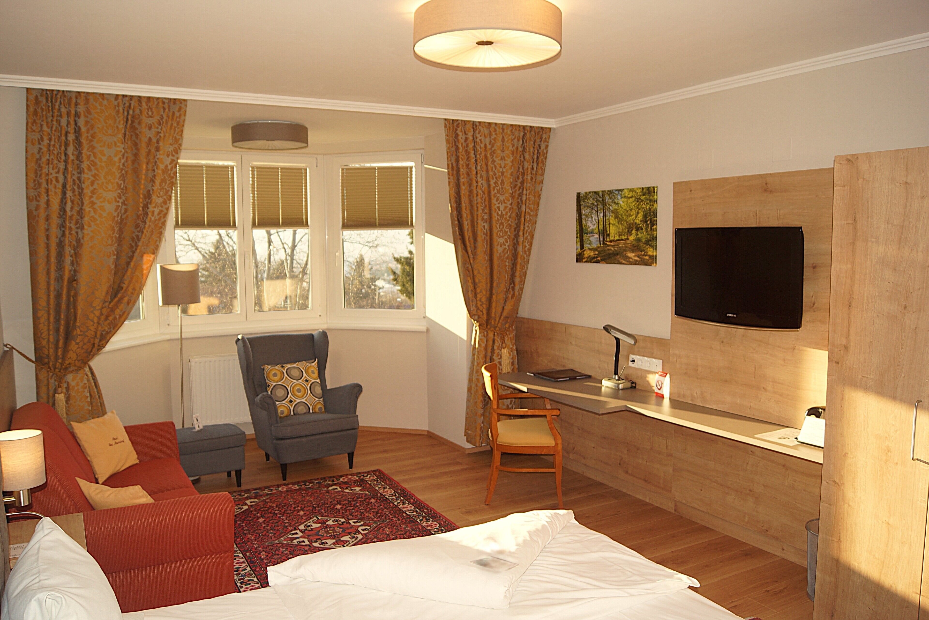 A bedroom with a bed, a desk, a chair, a sofa, and a TV.