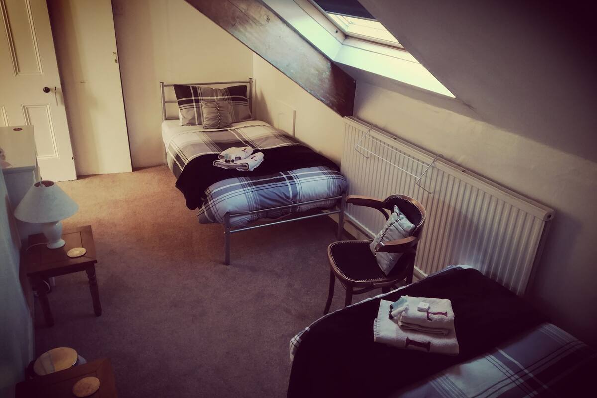 Single /Twin room (3)