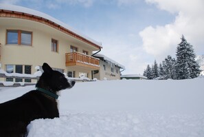 Paseos con raquetas de nieve
