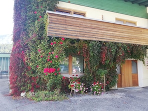 Exterior - Alpina (Graen)