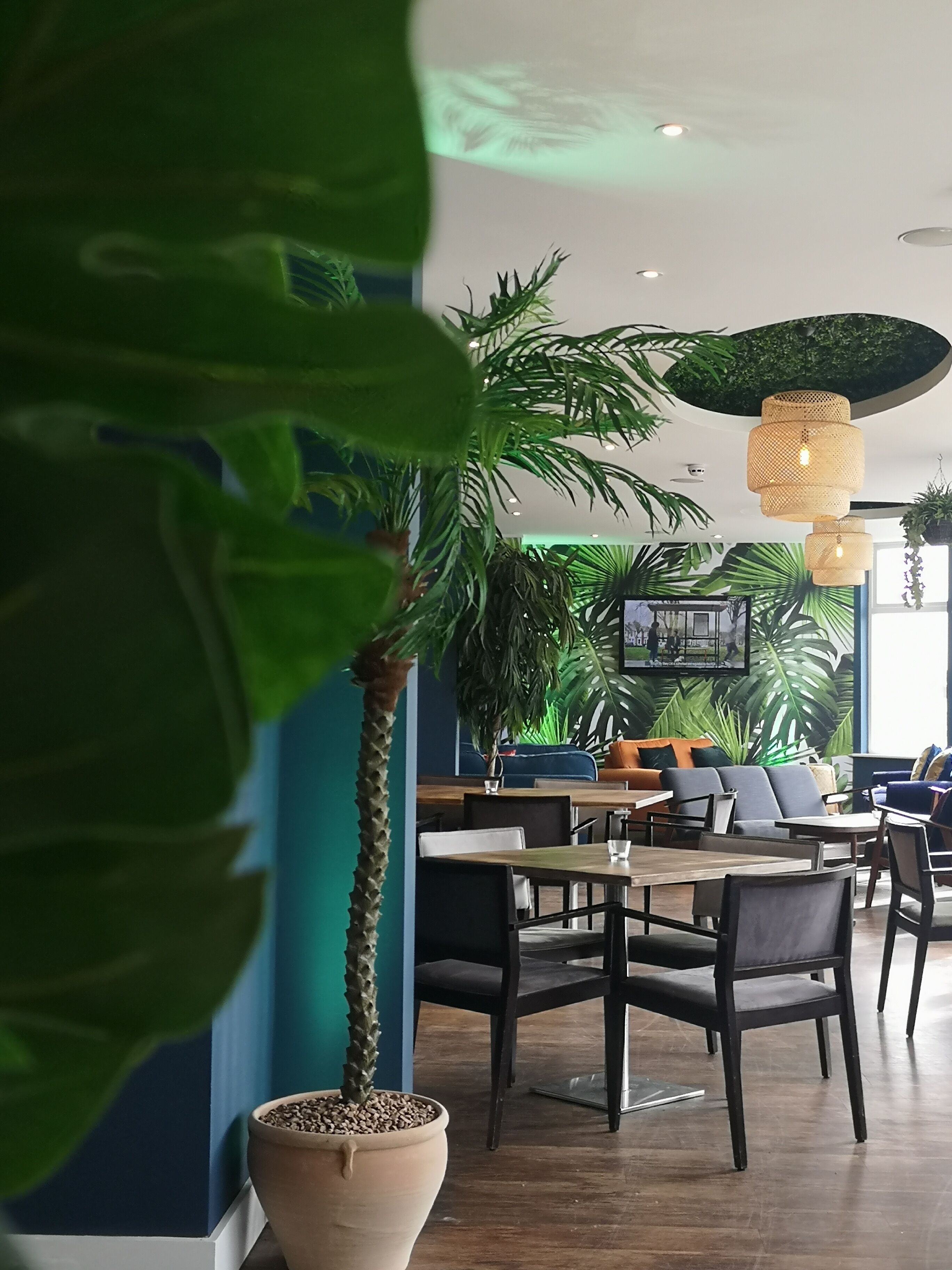 breakfast, lunch, dinner served; international cuisine