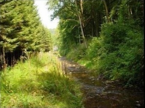 Ulkoalueet