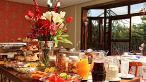 A breakfast buffet with various food items, a vase of flowers, and a view of greenery outside. - Hotel Blumenhof (Blumenau)