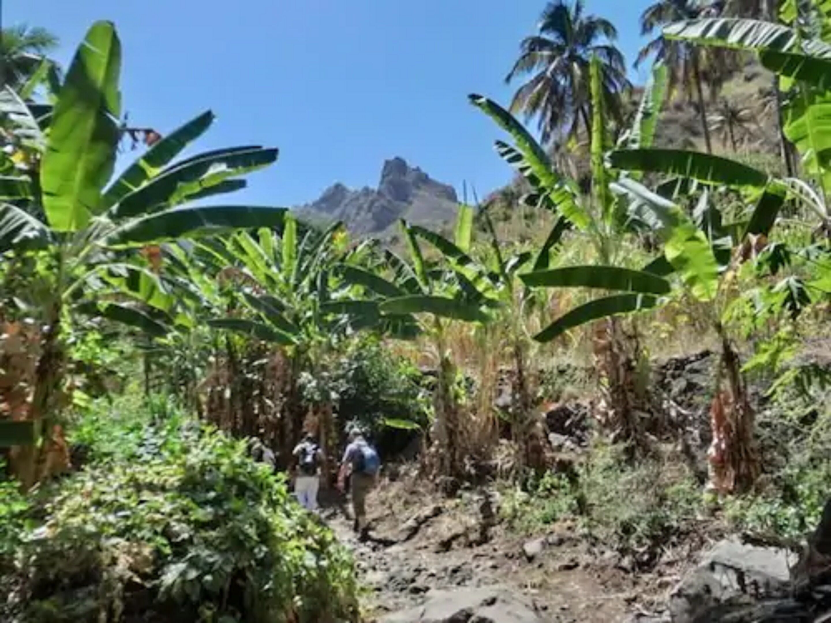 Photo - Aparthotel Praiano