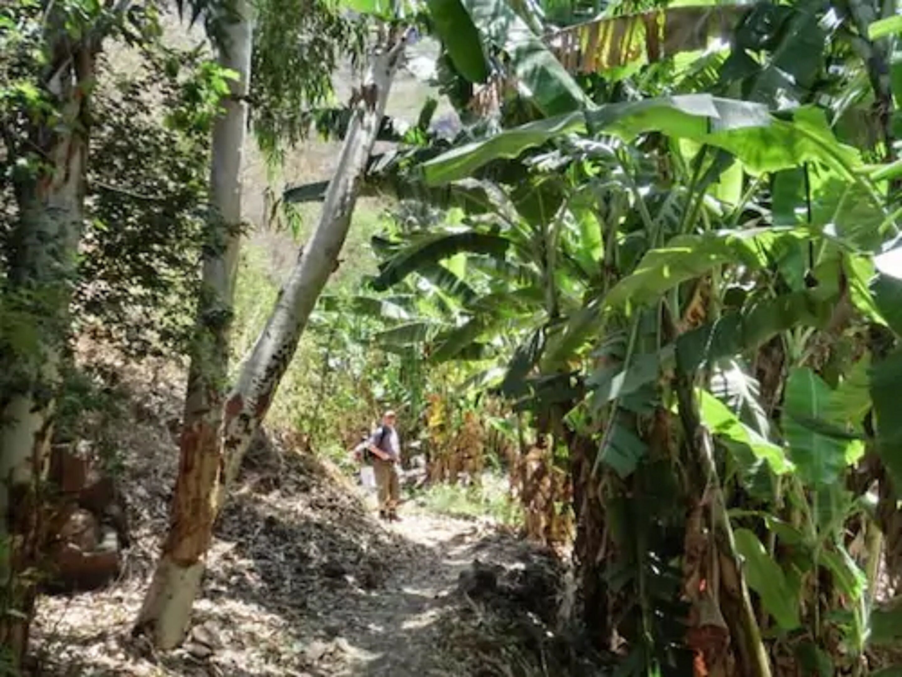 Photo - Aparthotel Praiano