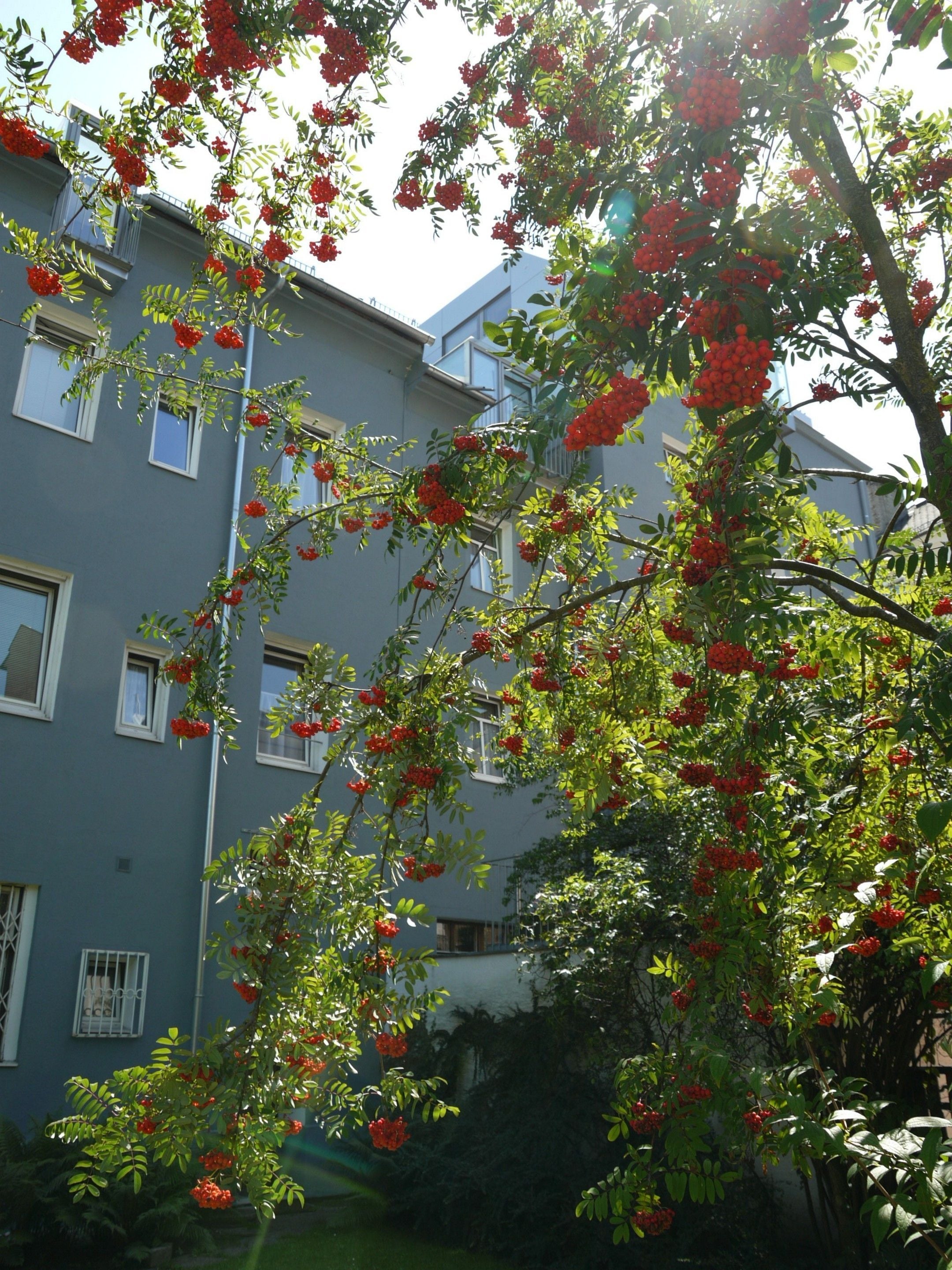 Photo - Bergland Hotel - Adults only