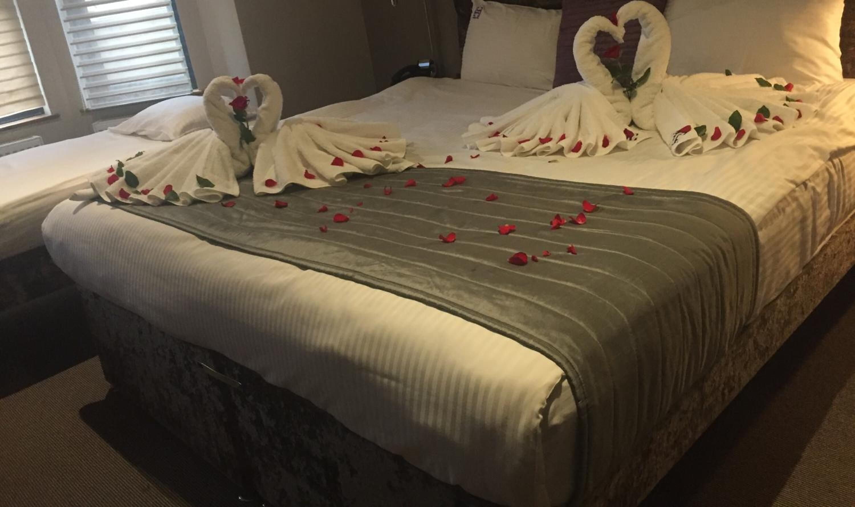 A bed with a white comforter, a green throw blanket, and red rose petals scattered across the bed.