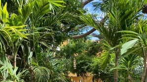 A stone pathway flanked by tropical plants leading to a yellow building with blue benches. - Stevie WonderLand (Díaz)