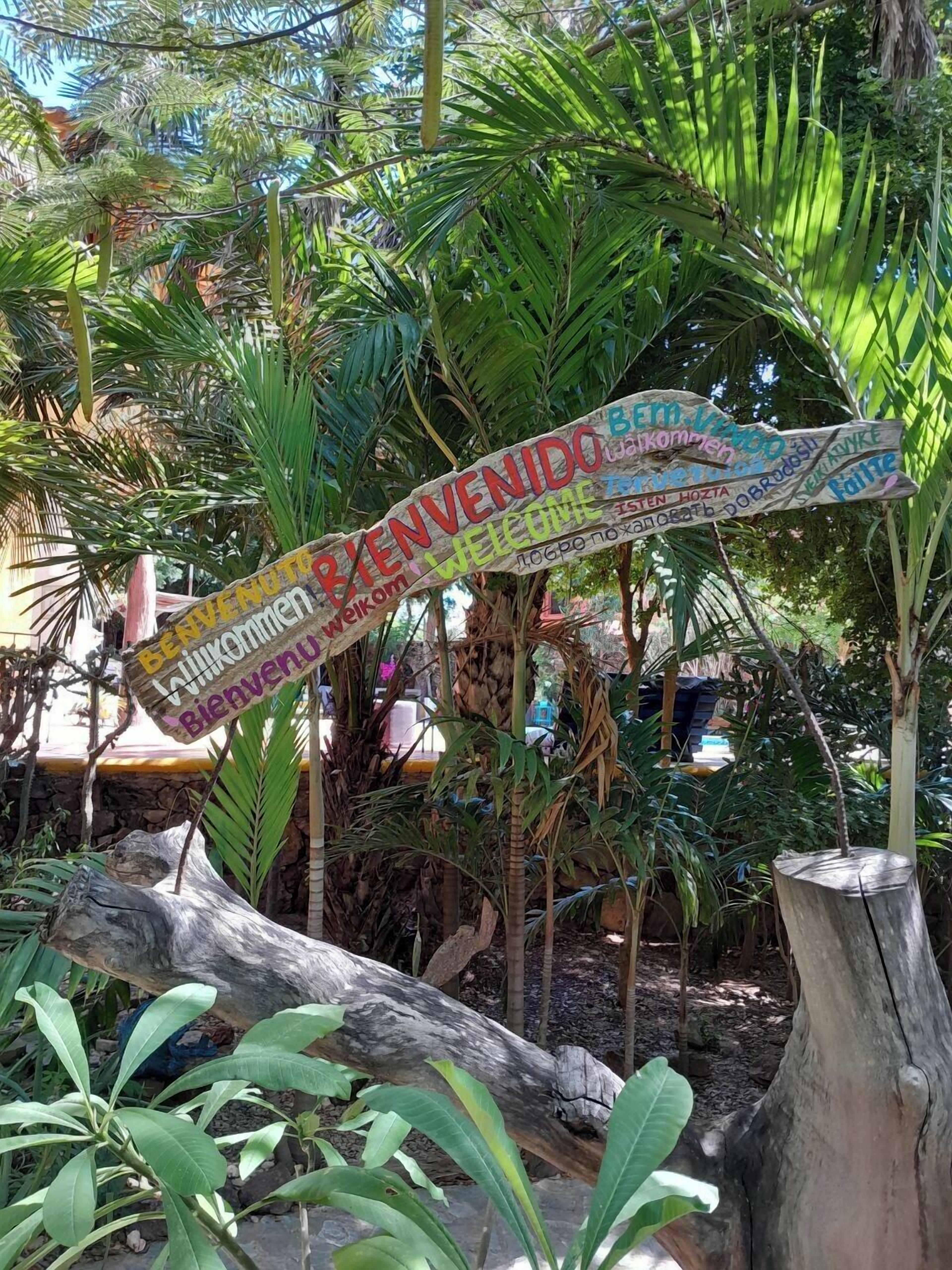 A wooden welcome sign in a tropical garden setting.