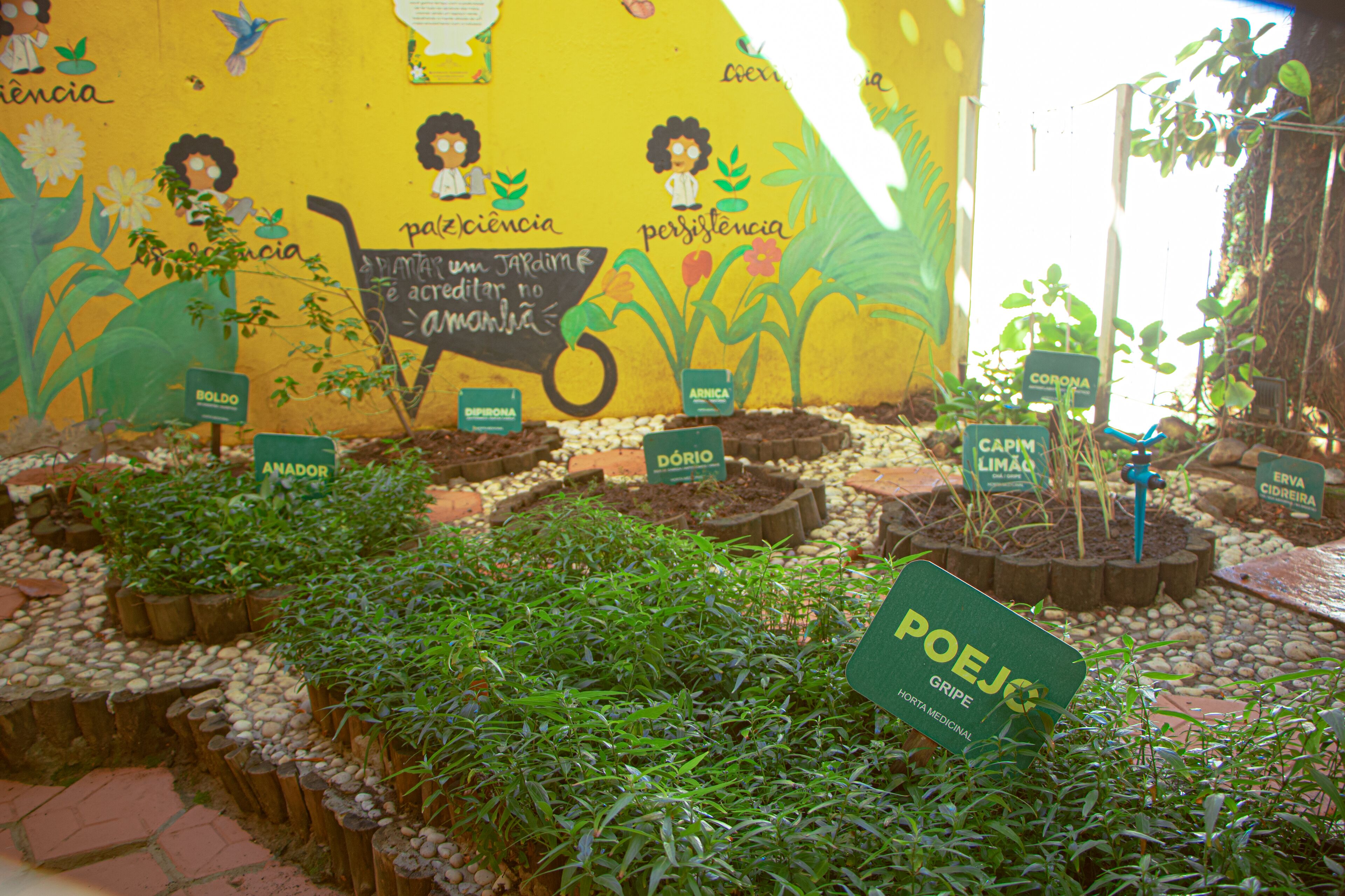 Um jardim com plantas identificadas e um mural ao fundo.