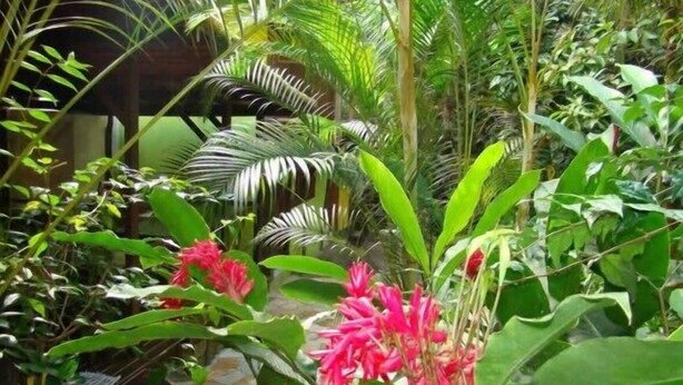 Garden - Pousada Guapuruvu (Angra dos Reis)