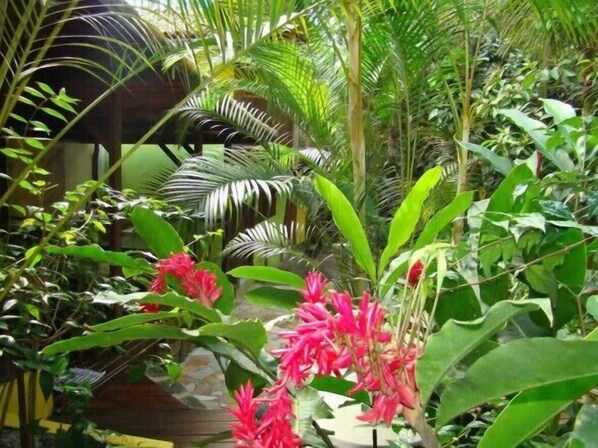 Garden - Pousada Guapuruvu (Angra dos Reis)