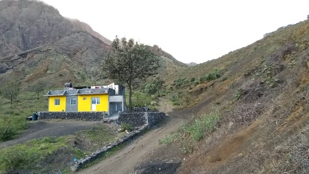 Eksteriør