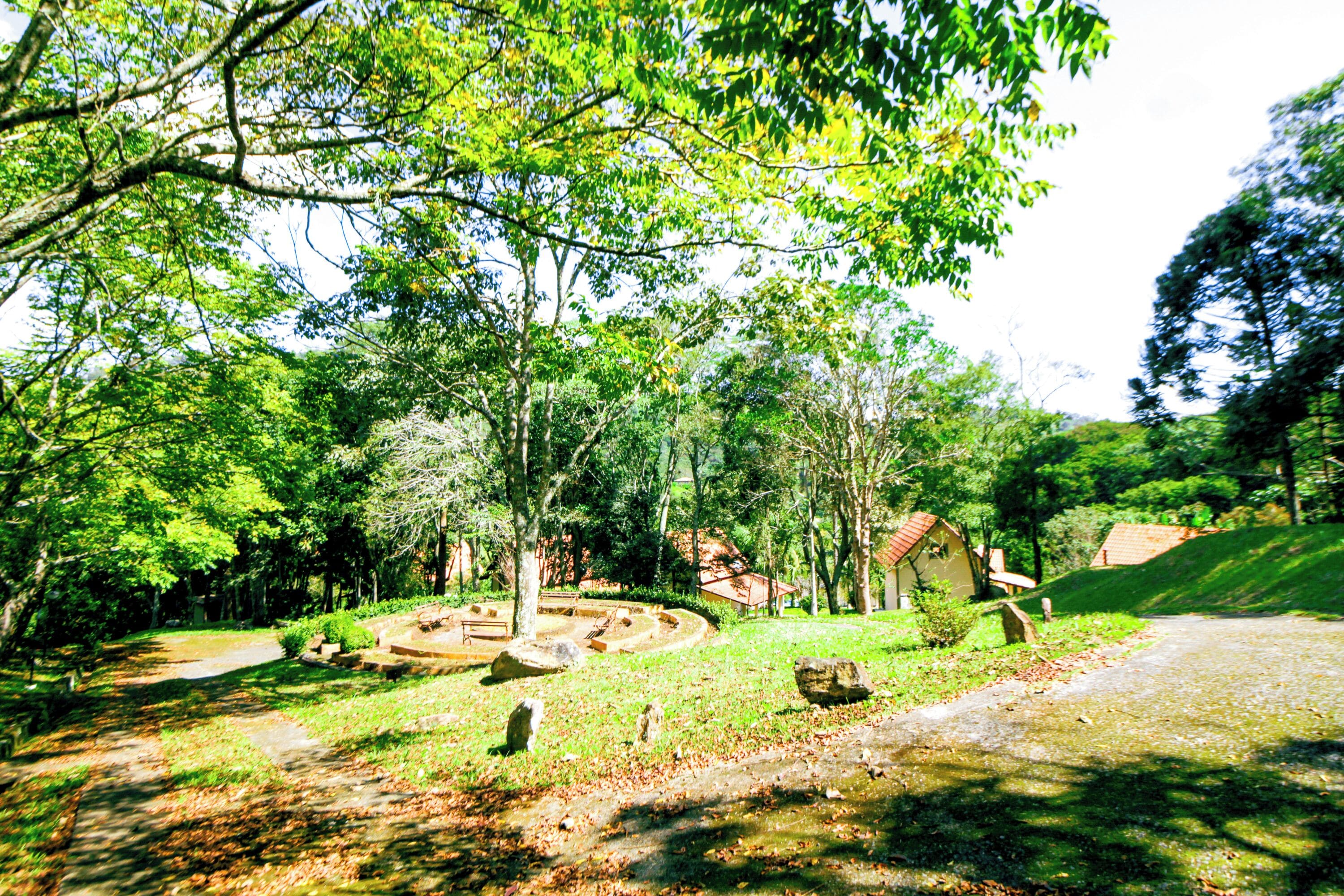 A serene park with a winding path, a small pond, and a rustic building with a red roof.