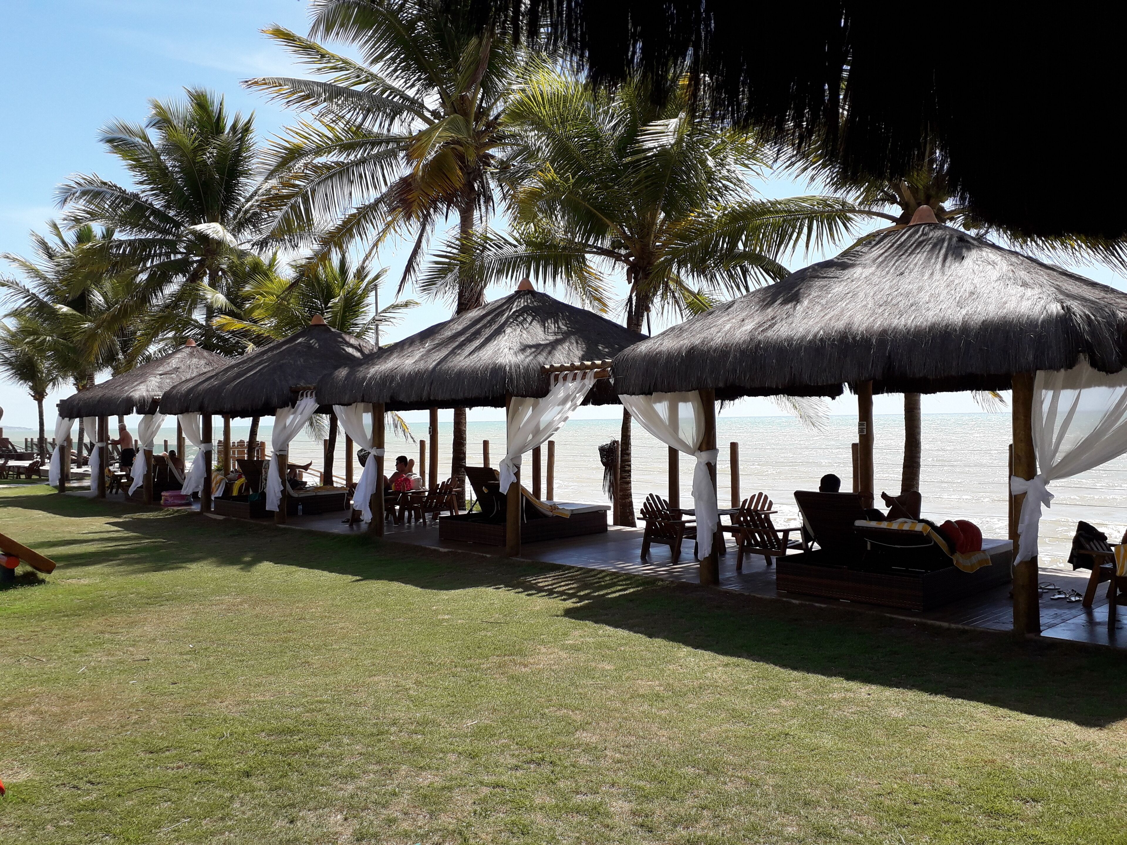 Un resort frente a la playa con quioscos de techo de paja, sillas de descanso y palmeras.
