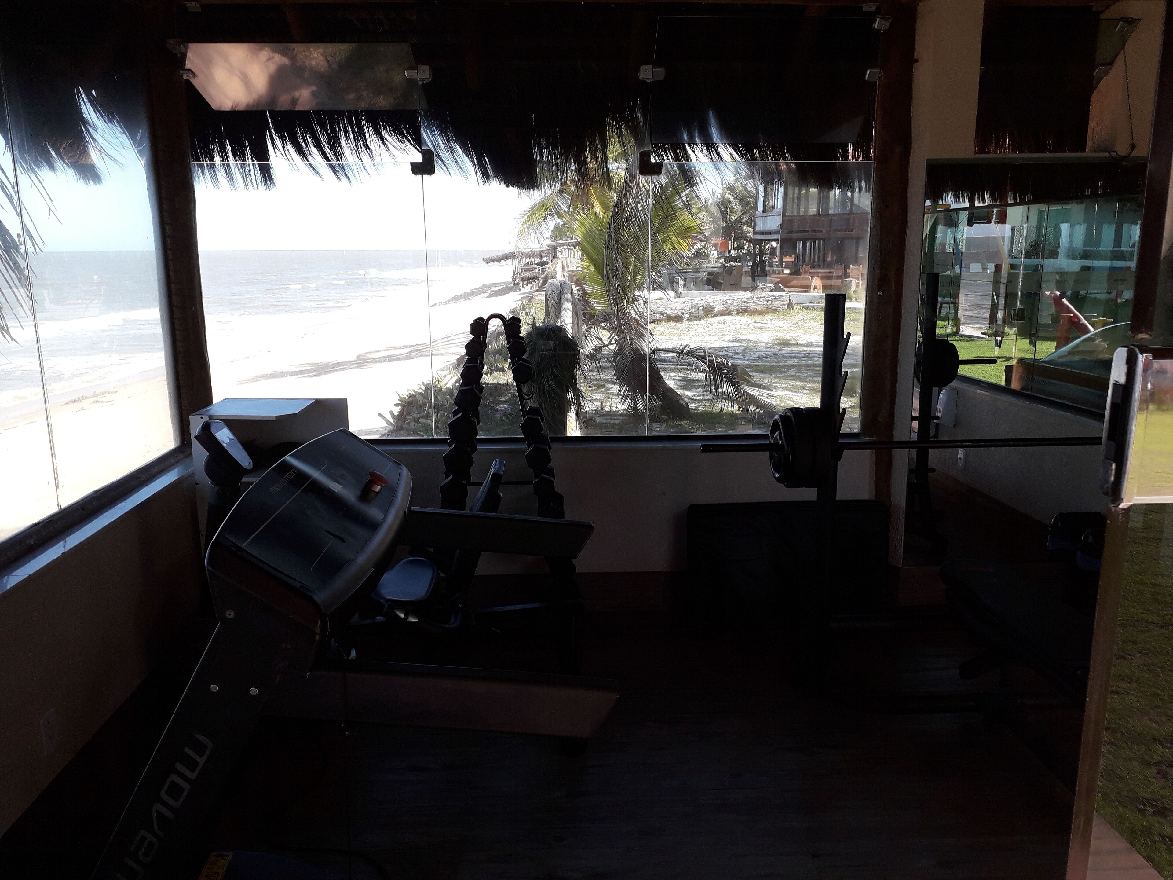 A gym with exercise equipment, large windows with a view of the beach and palm trees.