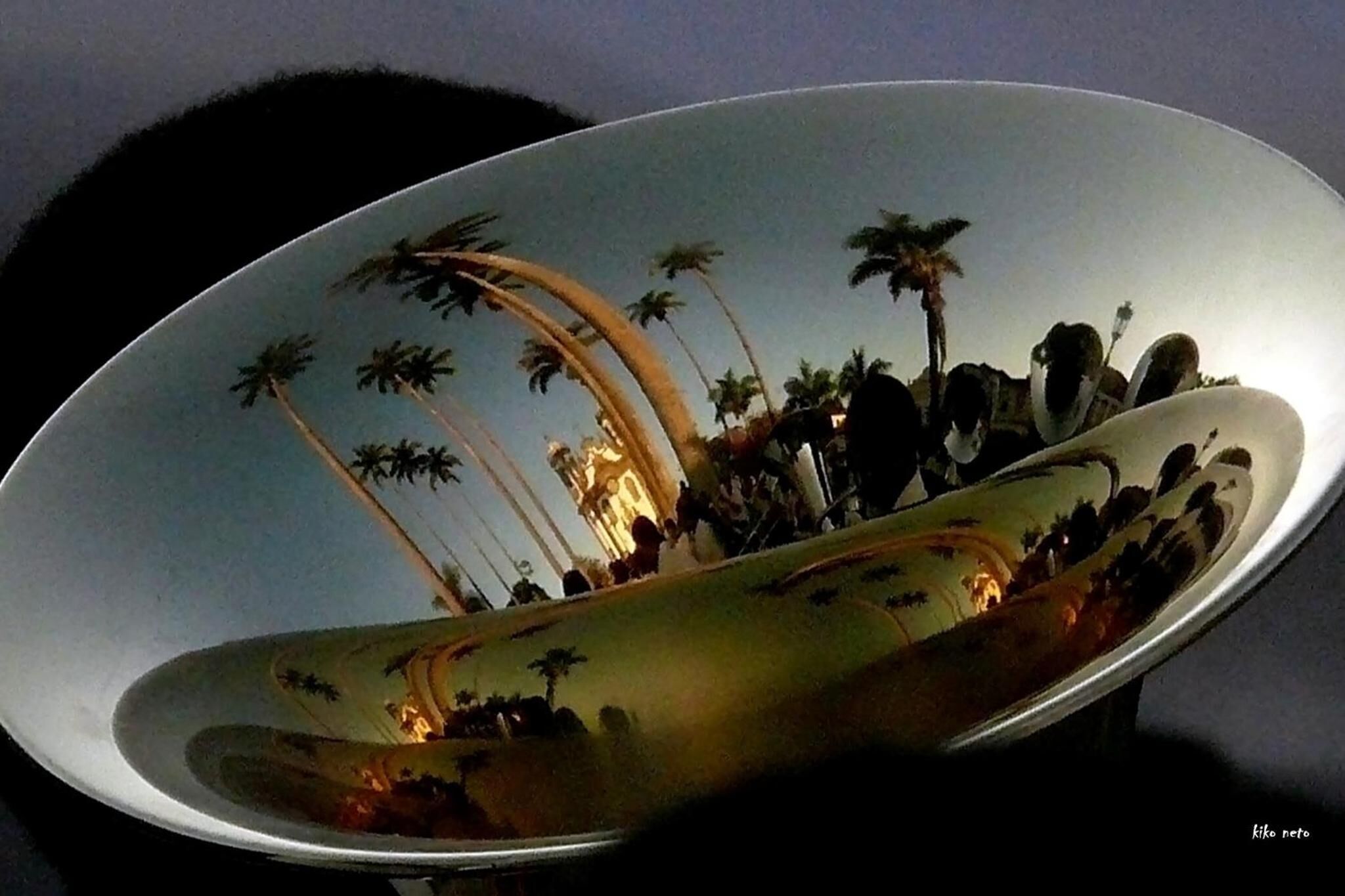A large, oval-shaped reflective surface with a reflection of palm trees and a building, possibly a hotel or resort.
