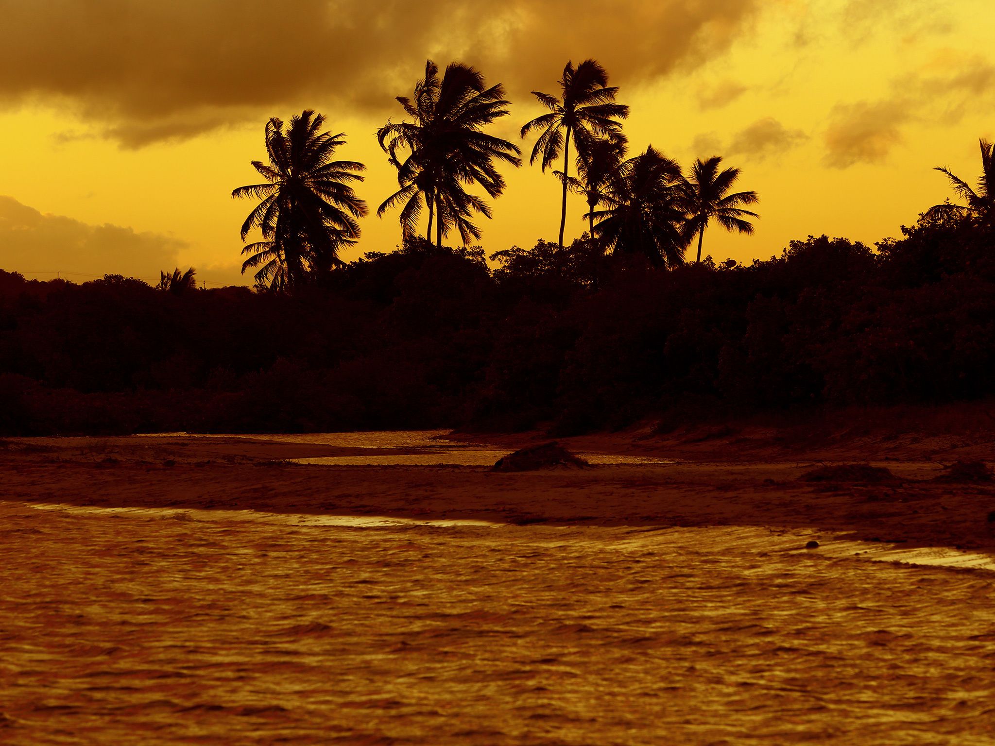 Foto - Pousada dos Coqueiros