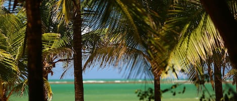 Vista da propriedade