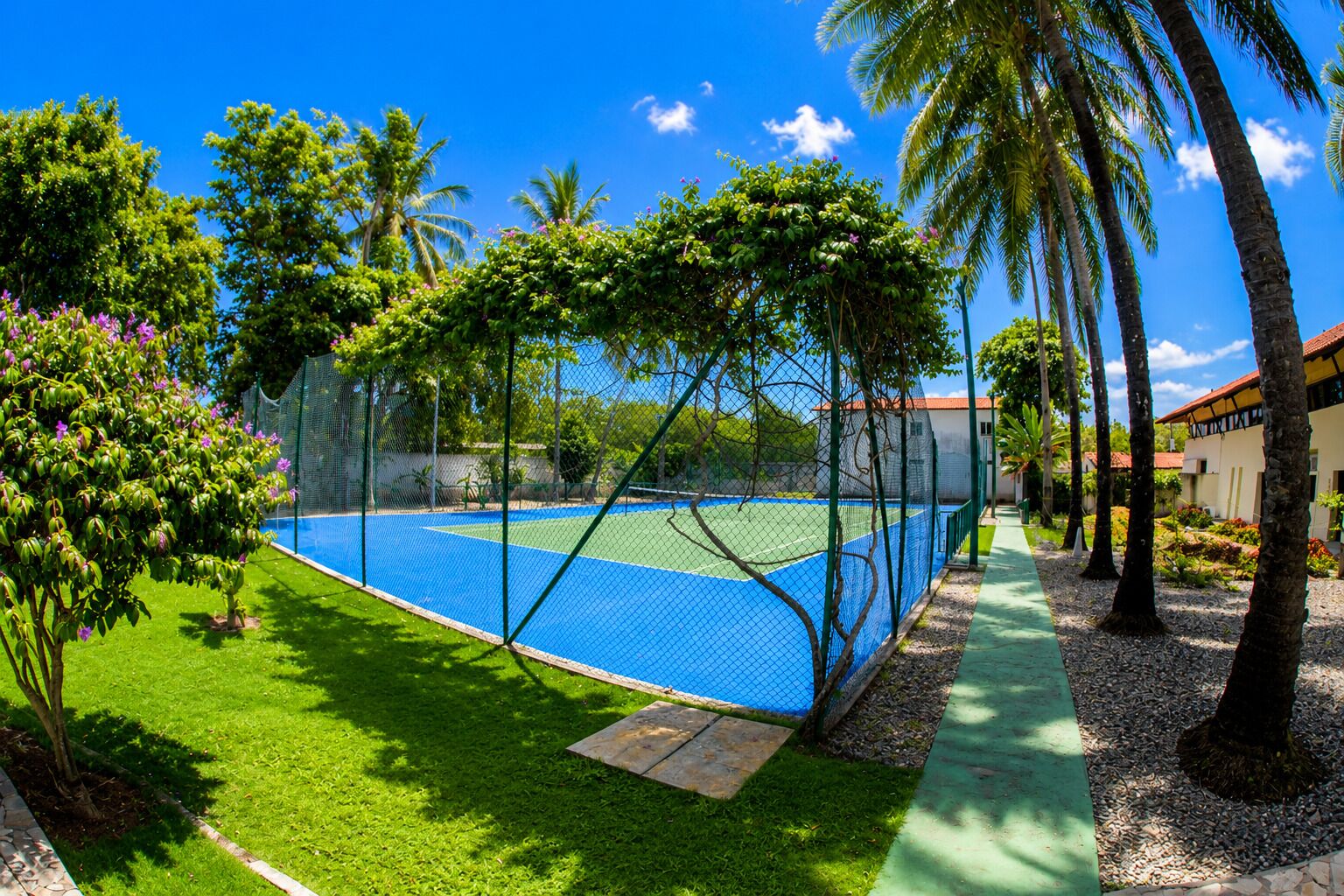 Una cancha de tenis rodeada de exuberante vegetación y palmeras, bajo un cielo azul despejado.