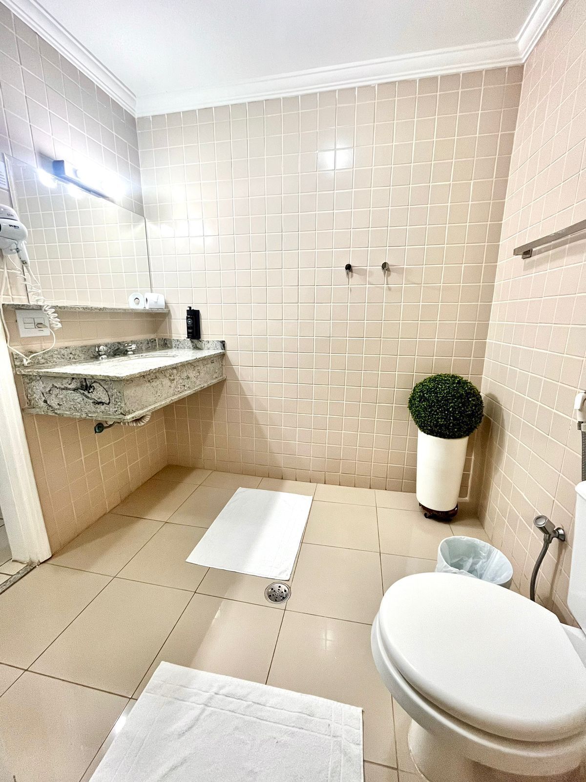 free toiletries, hair dryer, towels