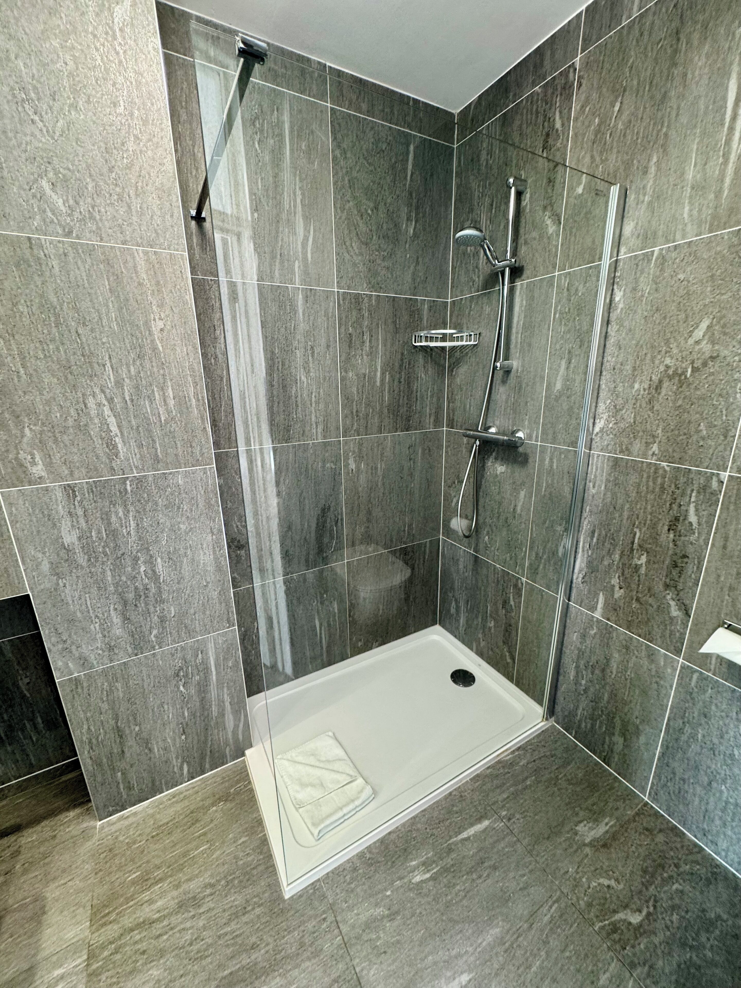 A modern shower area with a glass door, a handheld showerhead, and a wall-mounted faucet.