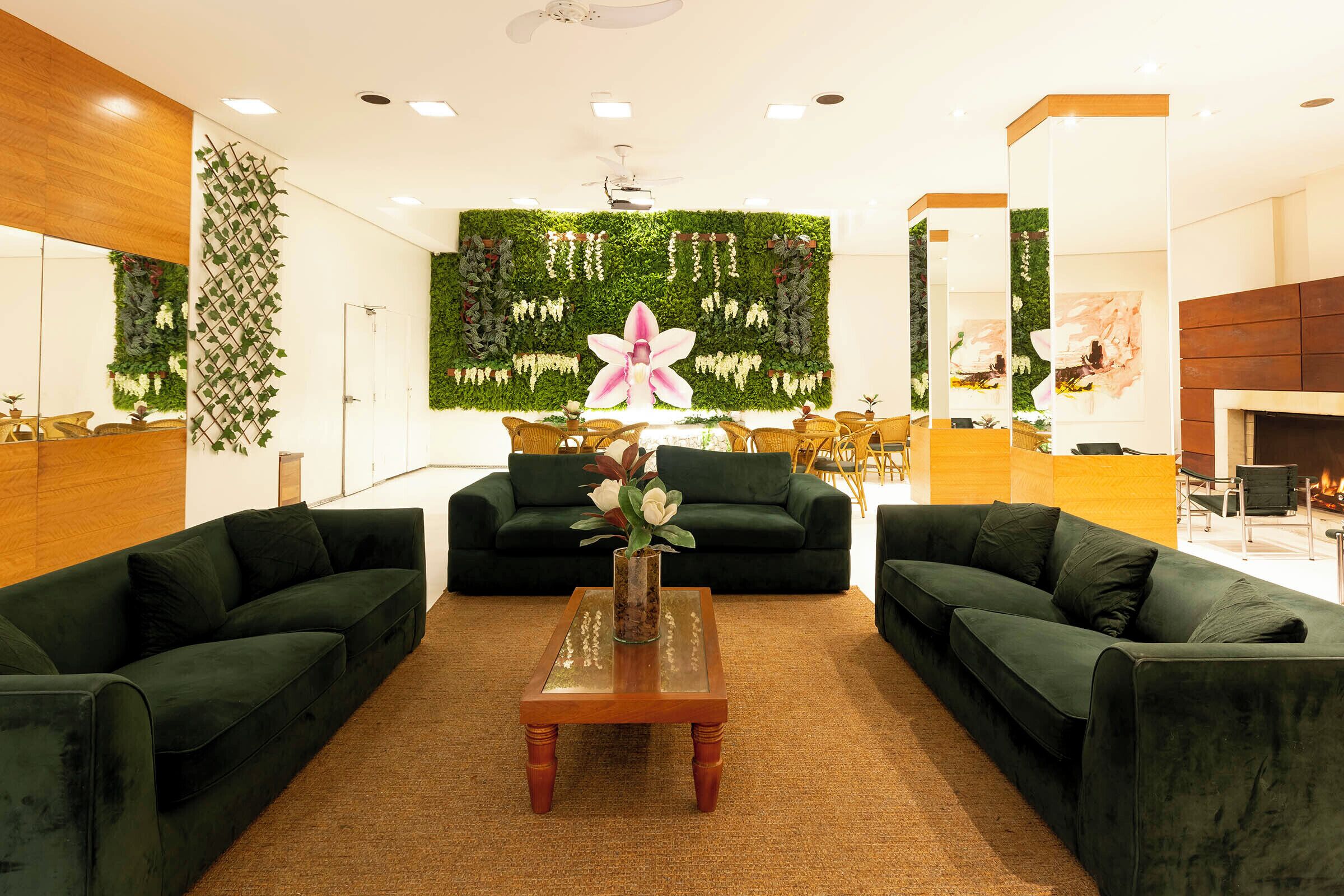 Área da propriedade