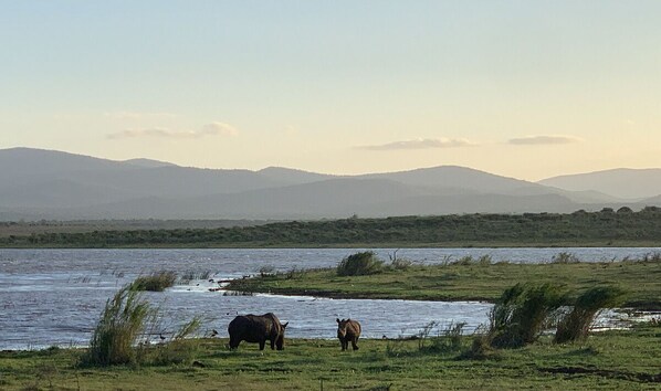 Lake - Shayamoya Tiger Fishing and Game Lodge (Pongola)