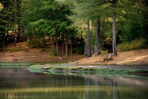 Terrain de l’hébergement 