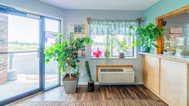 A room with a large window, a potted plant, a radiator, and a wooden bench. - Capital O Aurora Inn Monett US 60 (Aurora)