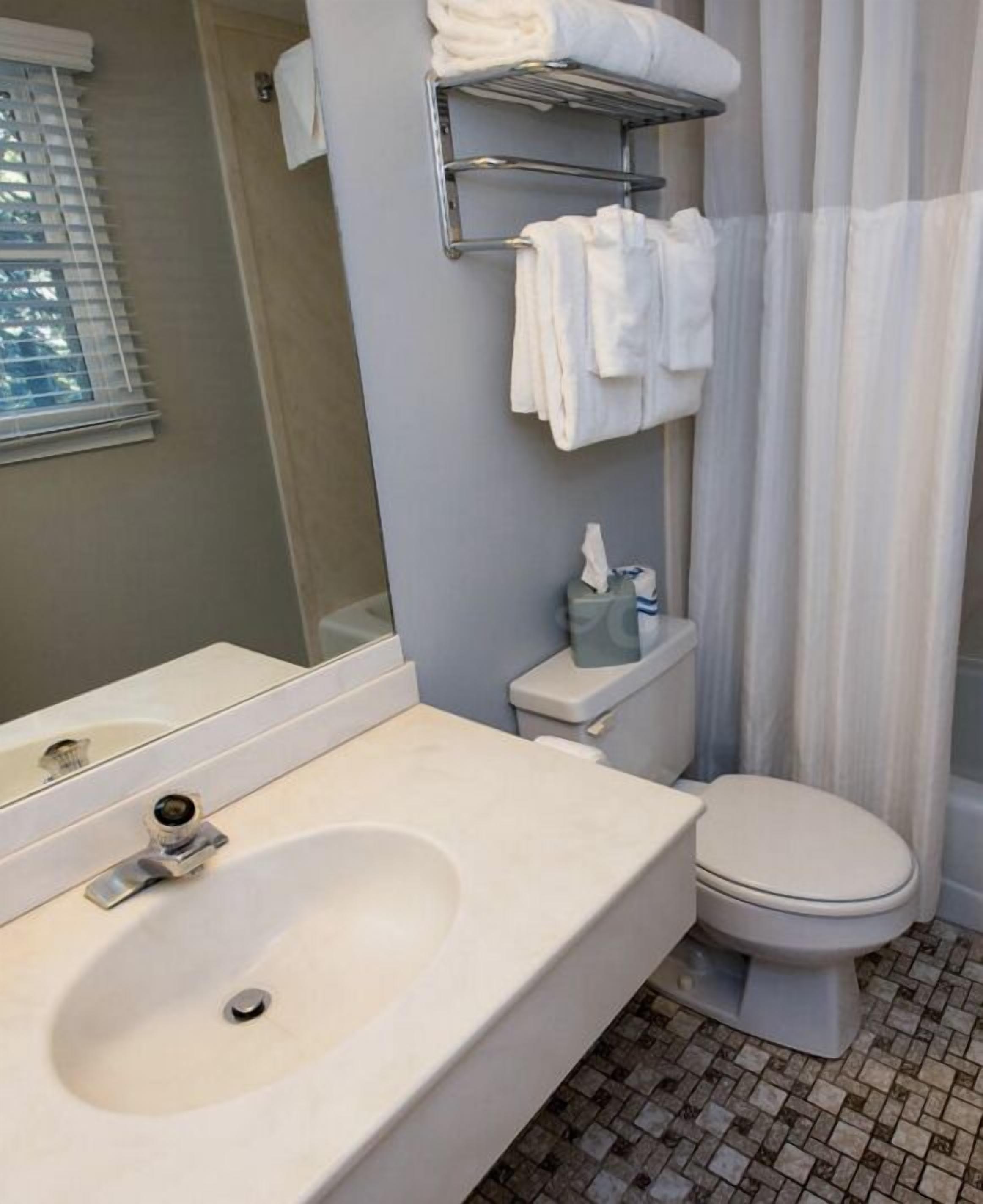 family suite, 1 king bed with sofa bed | bathroom | hair dryer, towels