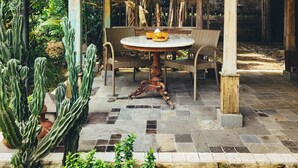 An outdoor patio with a round table and chairs, surrounded by cacti and plants. - Alindra Villas & Spa (Jimbaran)