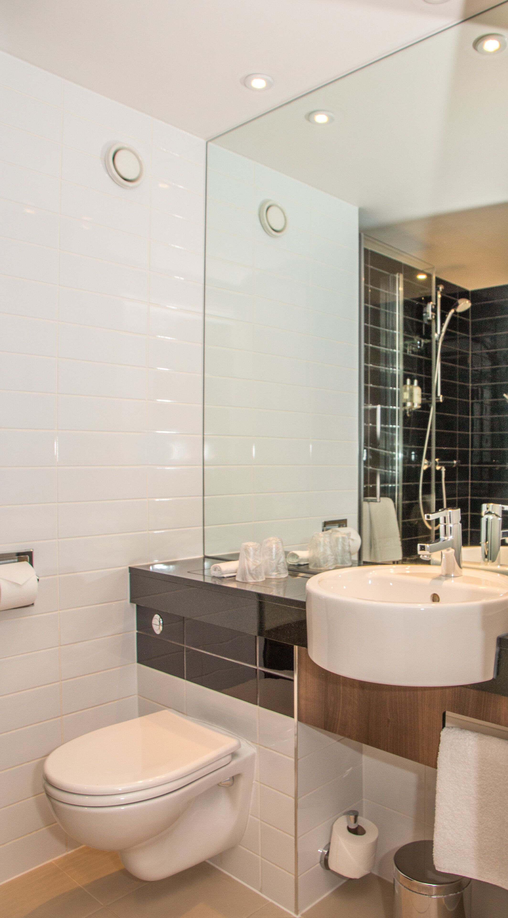 Combined shower/tub, free toiletries, hair dryer, towels