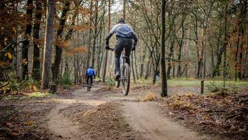 A dirt path in a forest with cyclists.