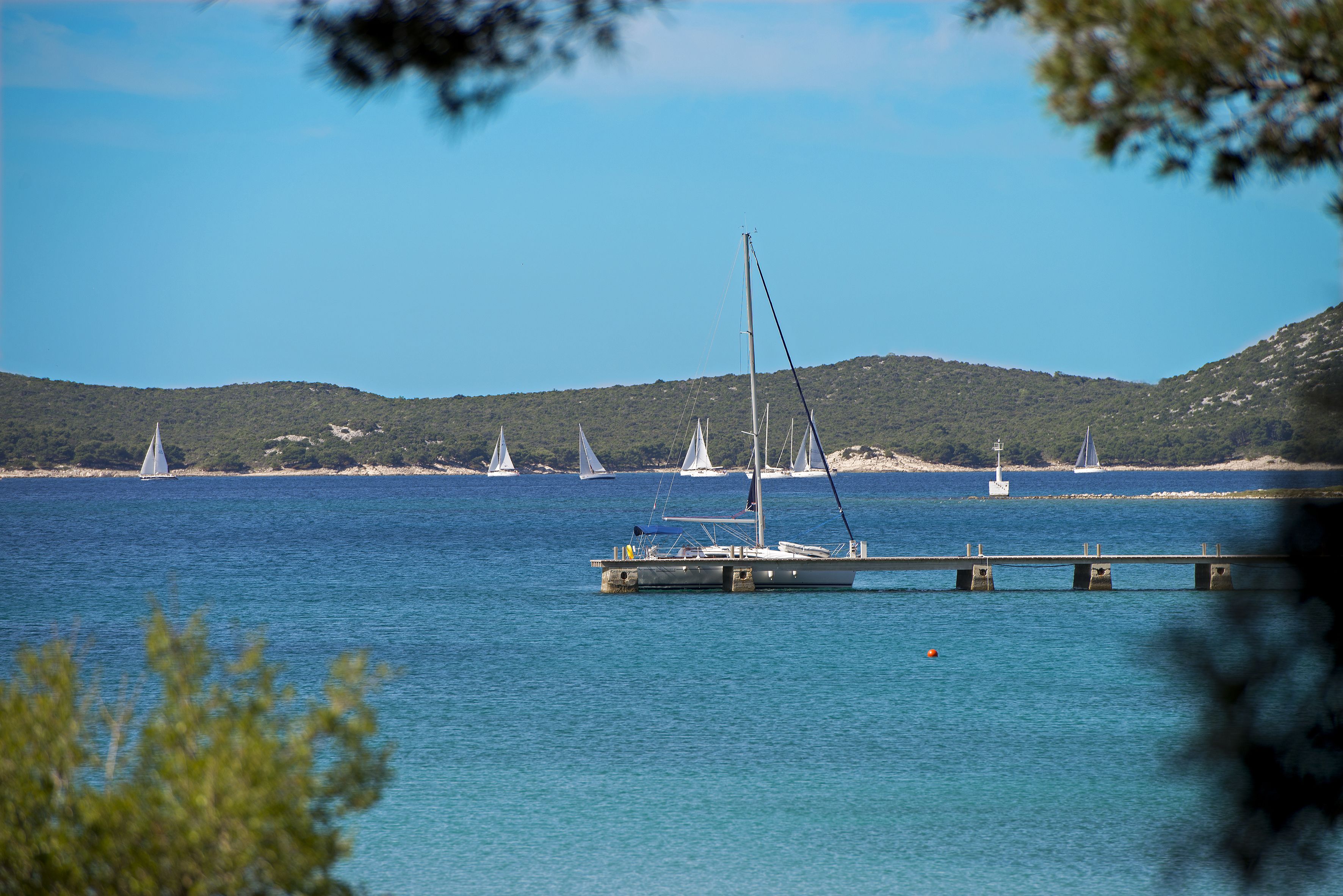A coastal scene with sailboats on the water, a dock, and a hilly landscape in the background.