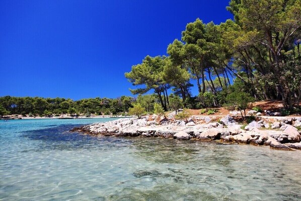Exterior - Crvena Luka Resort (Biograd na Moru)