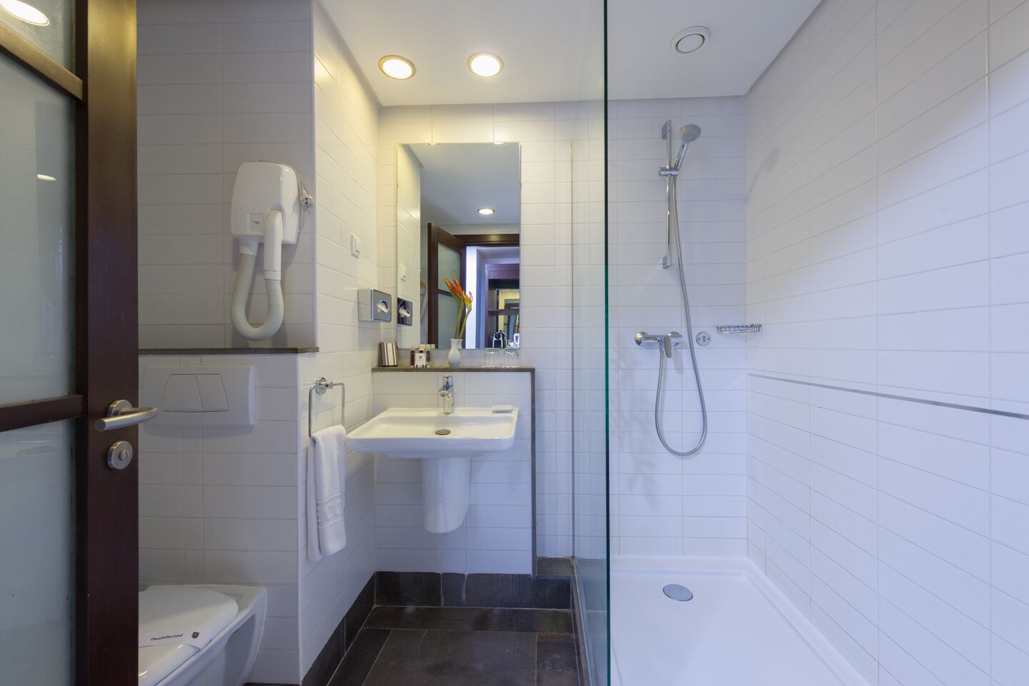 shower, hydromassage showerhead, hair dryer, slippers