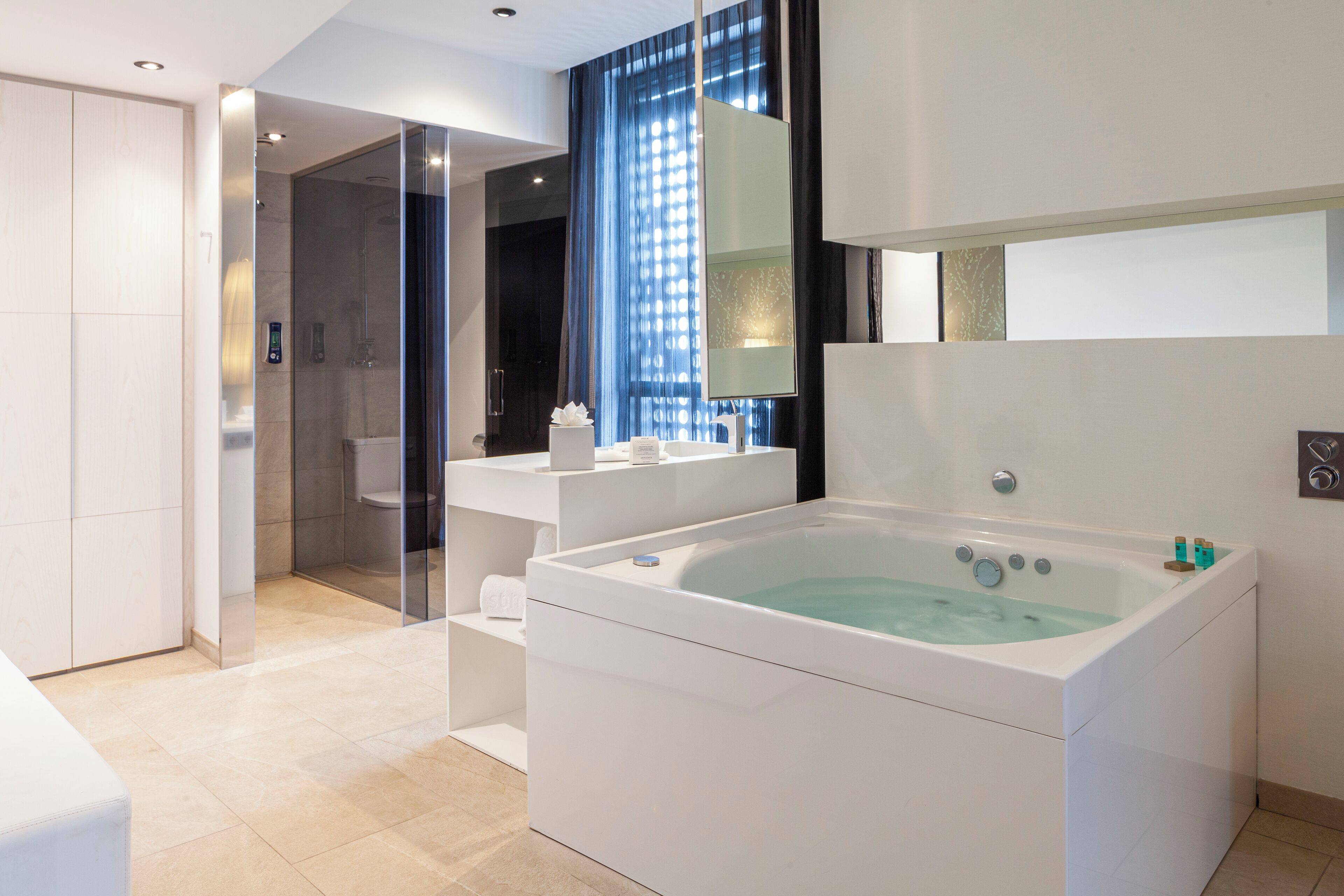 suite (jacuzzi) | bathroom | rainfall showerhead, free toiletries, hair dryer, bidet