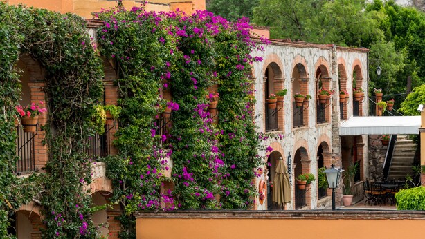 Un bâtiment doté de fenêtres en arc de cercle et d’un balcon orné de plantes en pot.
