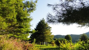 A lush garden with various plants and trees, a neatly trimmed lawn, and a distant mountain range. - 4 Seasons at Beech Mountain (Banner Elk)