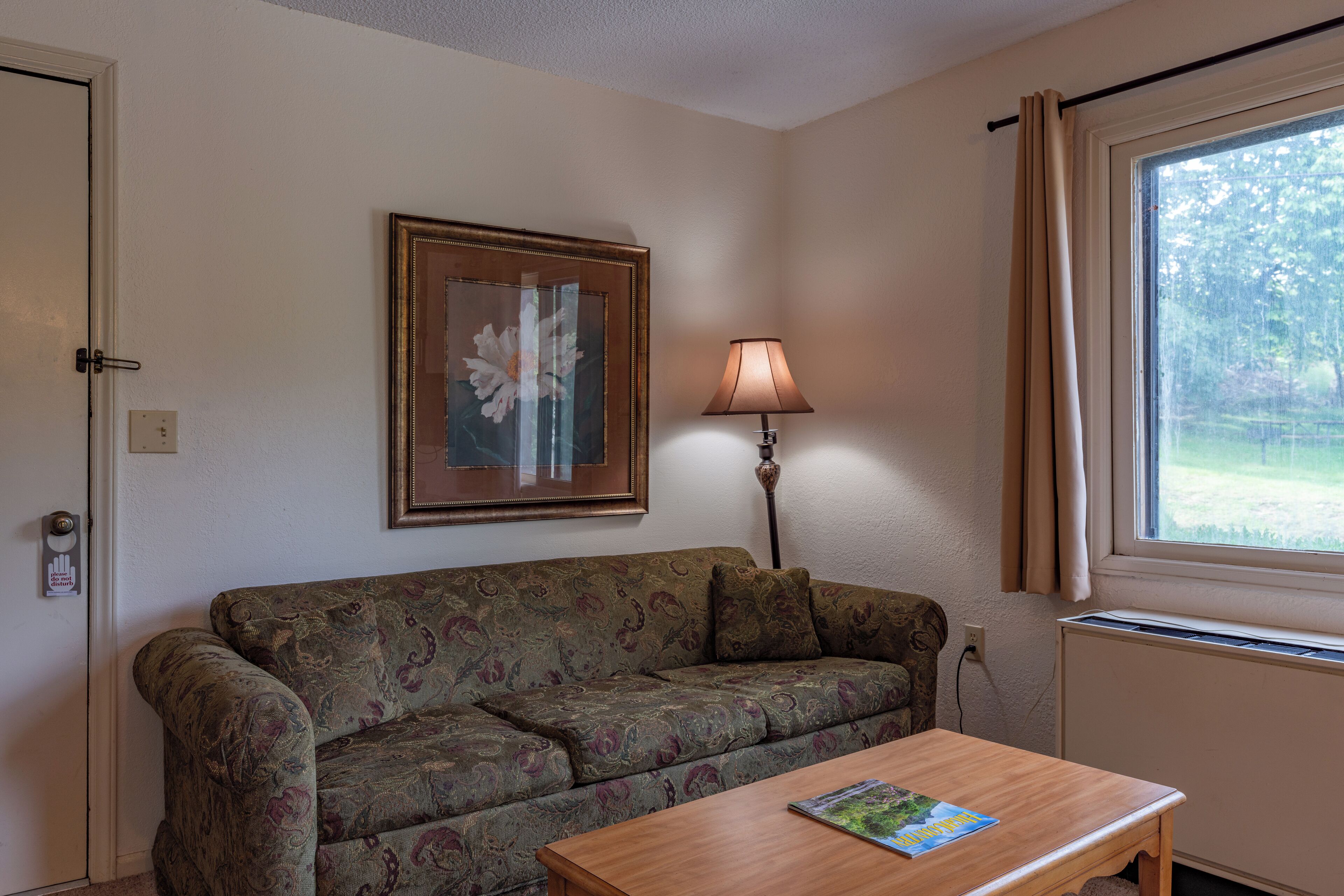 A room with a patterned sofa, a wooden table, a framed picture on the wall, a lamp, and a window with curtains.