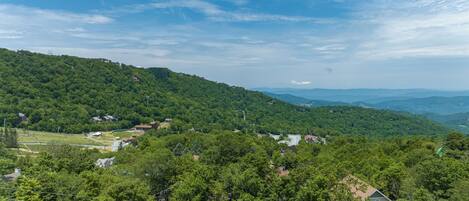A residential area with houses surrounded by dense green forest and hills in the background.