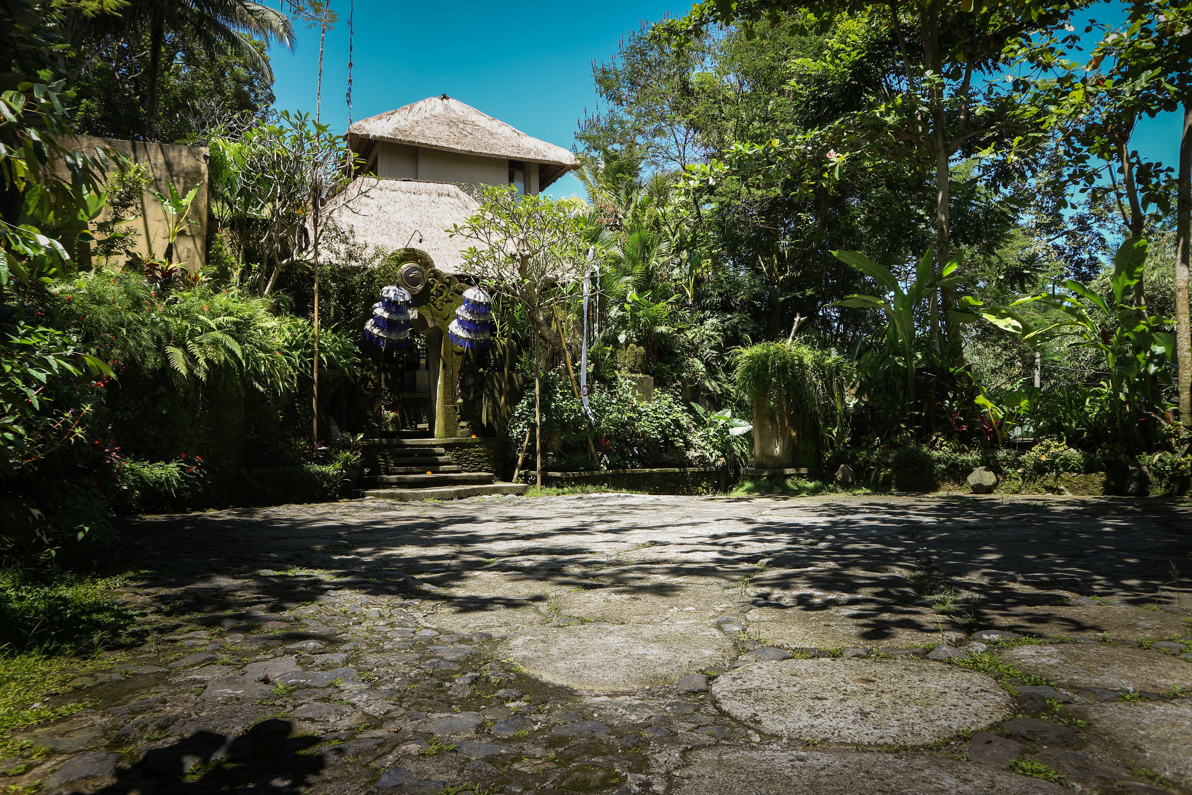 A stone pathway leading to a building with a thatched roof, surrounded by lush greenery and tropical plants.