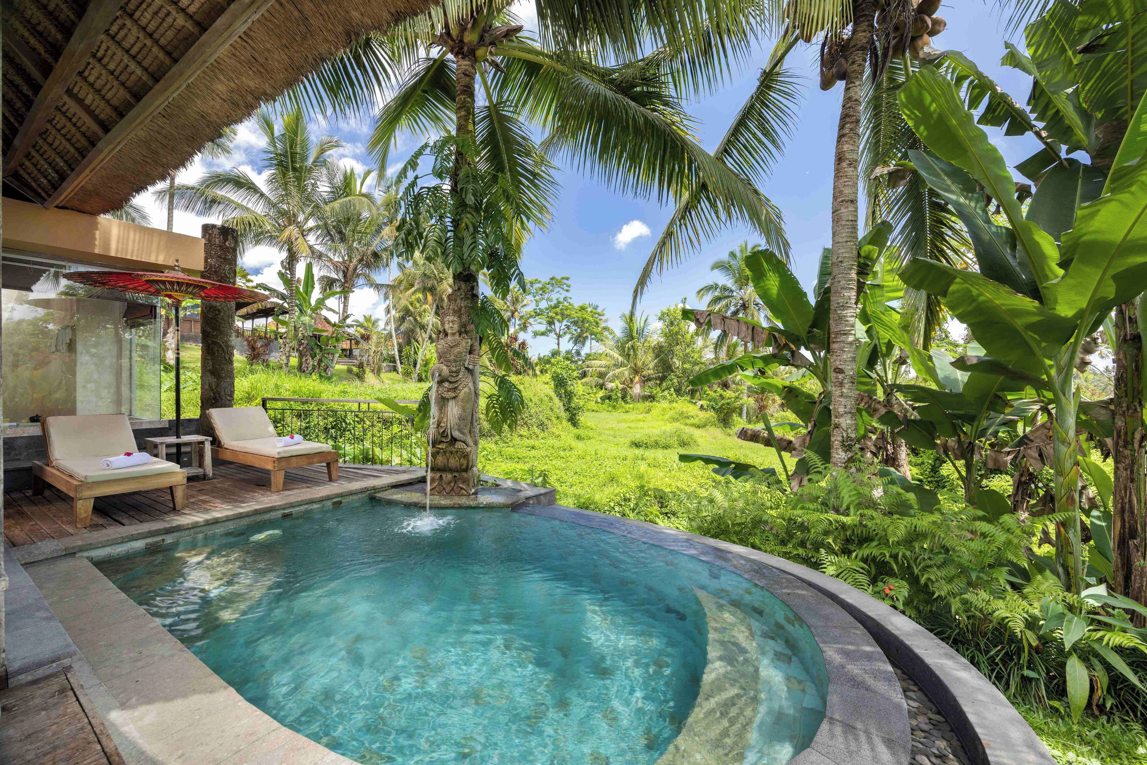 A pool area with lounge chairs, a statue, and lush tropical vegetation.