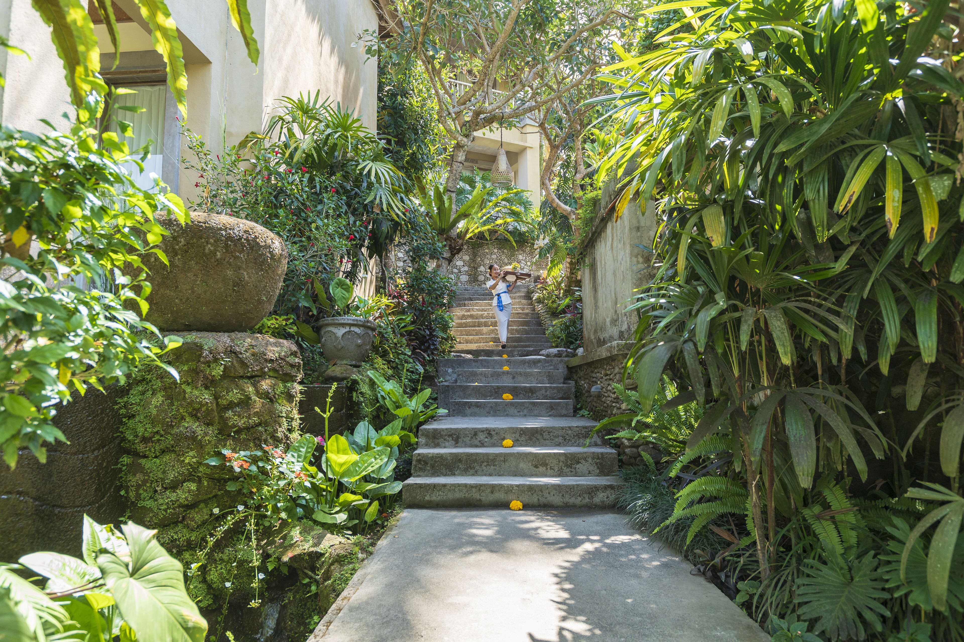 Room service – dining