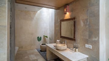 Une salle de bain avec un lavabo en pierre, un miroir et une plante en pot.