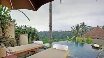 Villa (Puri Gangga Private Pool) | Utsikt från rummet
